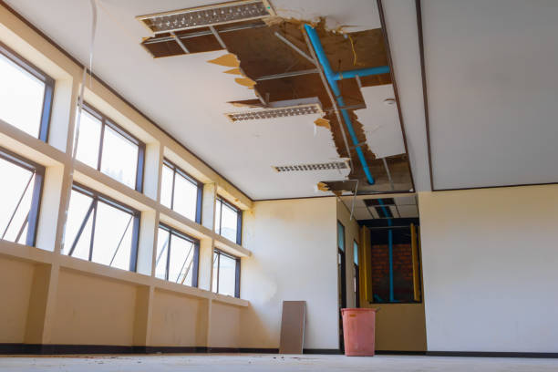 Best Residential water damage restoration  in Shenandoah Junction, WV