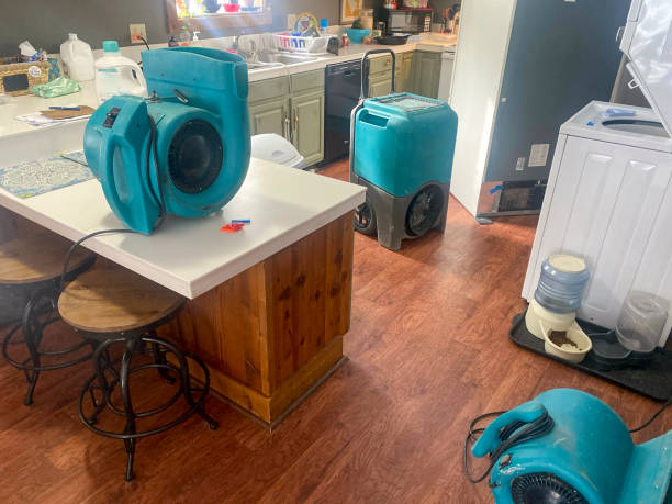 Professional Water damage restoration in Shenandoah Junction, WV