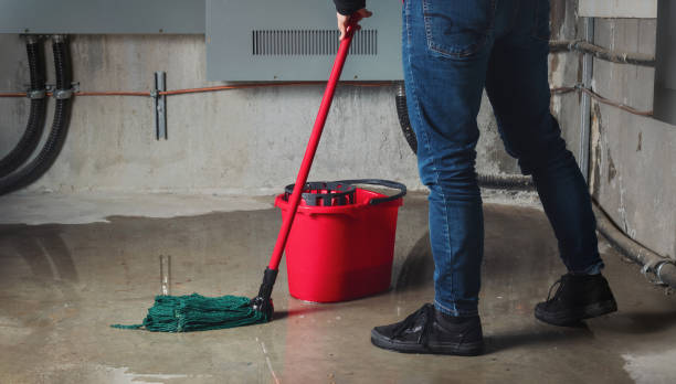 Best Local water damage restoration  in Shenandoah Junction, WV