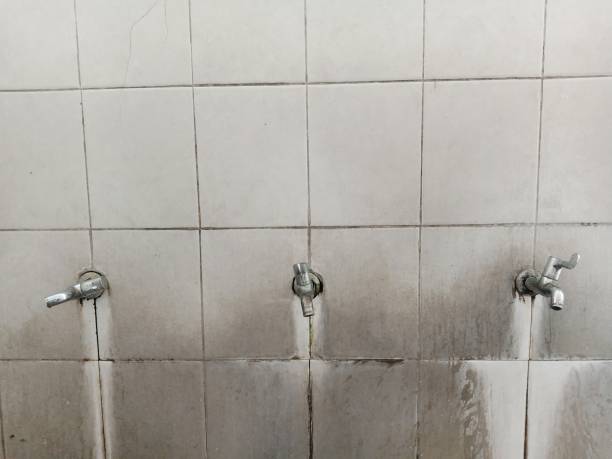 Best Water damage restoration mold remediation  in Shenandoah Junction, WV