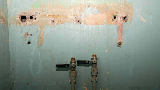 Best Commercial water damage restoration  in Shenandoah Junction, WV