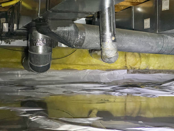 Best Sewage cleanup and water damage restoration  in Shenandoah Junction, WV